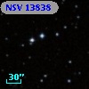 NSV 13838