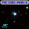 TYC 2202-1038-1
