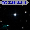 TYC 2206-918-1