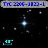 TYC 2206-1023-1