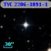 TYC 2206-1091-1