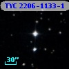 TYC 2206-1133-1