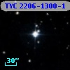 TYC 2206-1300-1