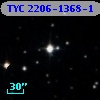 TYC 2206-1368-1