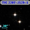 TYC 2207-2529-1