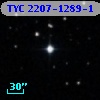 TYC 2207-1289-1