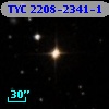 TYC 2208-2341-1