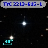 TYC 2213-615-1