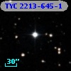 TYC 2213-645-1