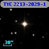 TYC 2213-2029-1