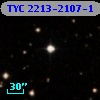 TYC 2213-2107-1