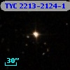 TYC 2213-2124-1