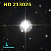 HD 213025