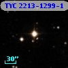 TYC 2213-1299-1