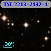 TYC 2213-2137-1