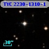 TYC 2230-1310-1