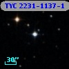 TYC 2231-1137-1