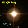 V* QR Peg