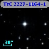 TYC 2227-1164-1
