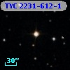 TYC 2231-612-1