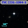 TYC 2231-1384-1