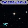 TYC 2232-1242-1