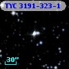 TYC 3191-323-1