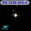 TYC 2229-323-1