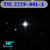 TYC 2229-441-1