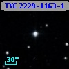 TYC 2229-1163-1