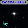 TYC 2233-1181-1