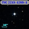 TYC 2233-1289-1
