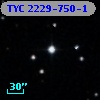 TYC 2229-750-1