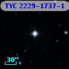 TYC 2229-1737-1