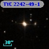TYC 2242-49-1