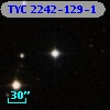 TYC 2242-129-1
