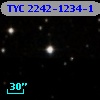 TYC 2242-1234-1
