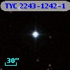 TYC 2243-1242-1