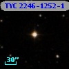 TYC 2246-1252-1