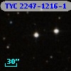 TYC 2247-1216-1