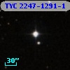 TYC 2247-1291-1