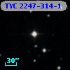 TYC 2247-314-1