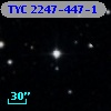 TYC 2247-447-1