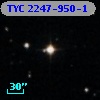 TYC 2247-950-1