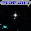 TYC 2247-1091-1