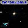 TYC 2247-1206-1