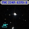 TYC 2247-1273-1