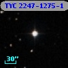 TYC 2247-1275-1