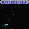 IRAS 23220+2919