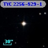 TYC 2256-829-1
